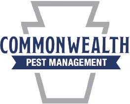 commonwealth pest management full color