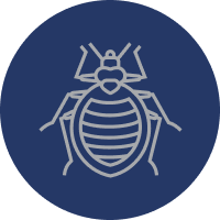 Bed Bug Treatment Lancaster PA