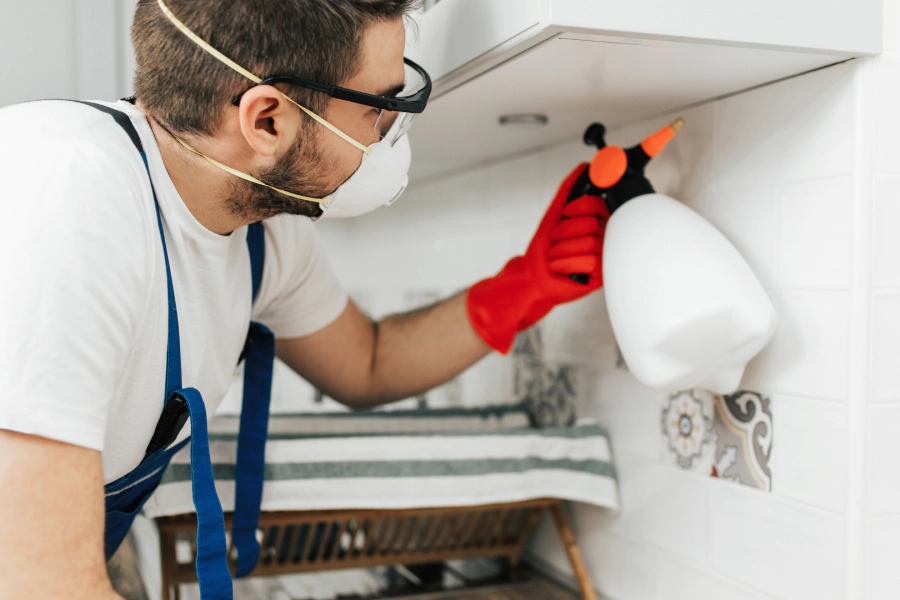 service termite treatments lancaster pa