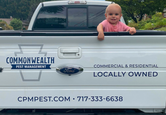 Commercial Pest Control